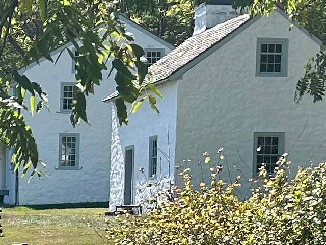 Detail of the original photo at full resolution: house, window and leaves